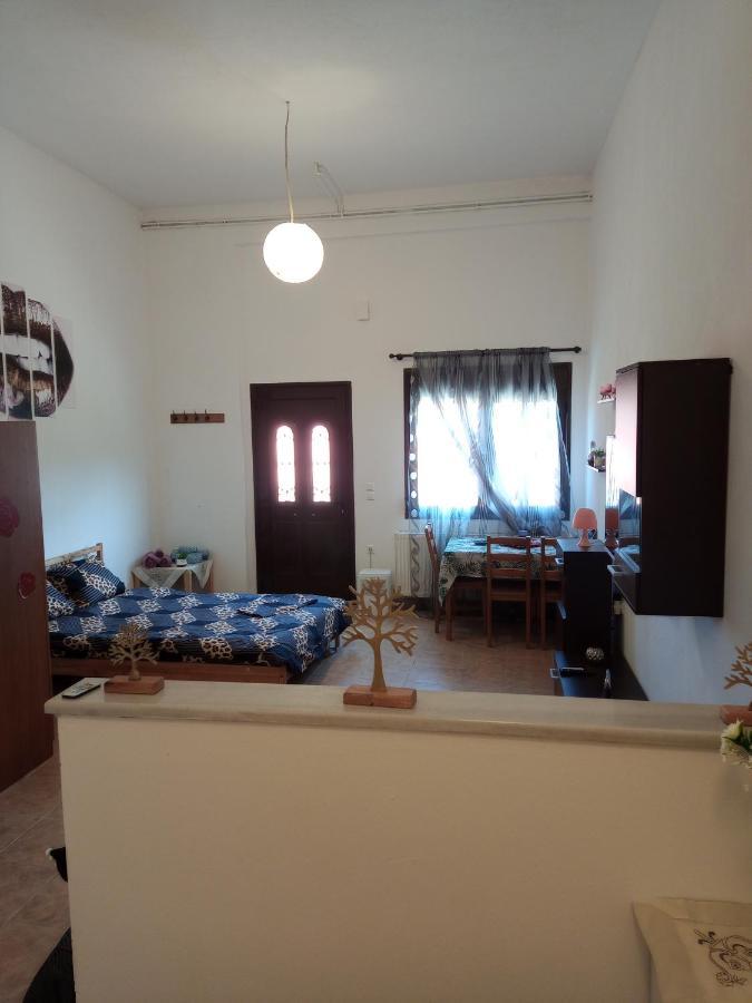 Tzoumerka Panorama Pramanta Zewnętrze zdjęcie